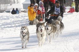 Lenk 2012 SM